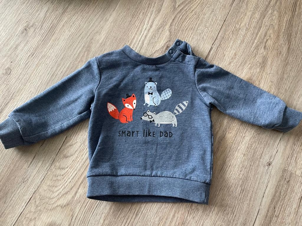 Pulli Pullover Gr. 74