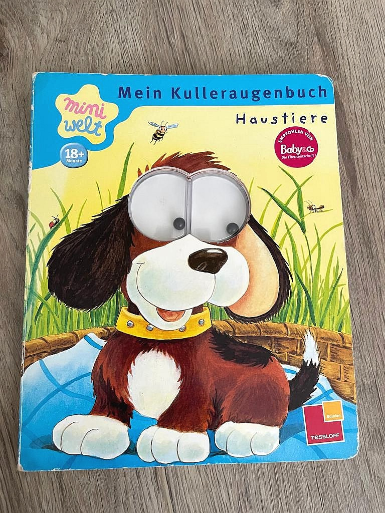 Buch Pappbilderbuch mit Wackelaugen