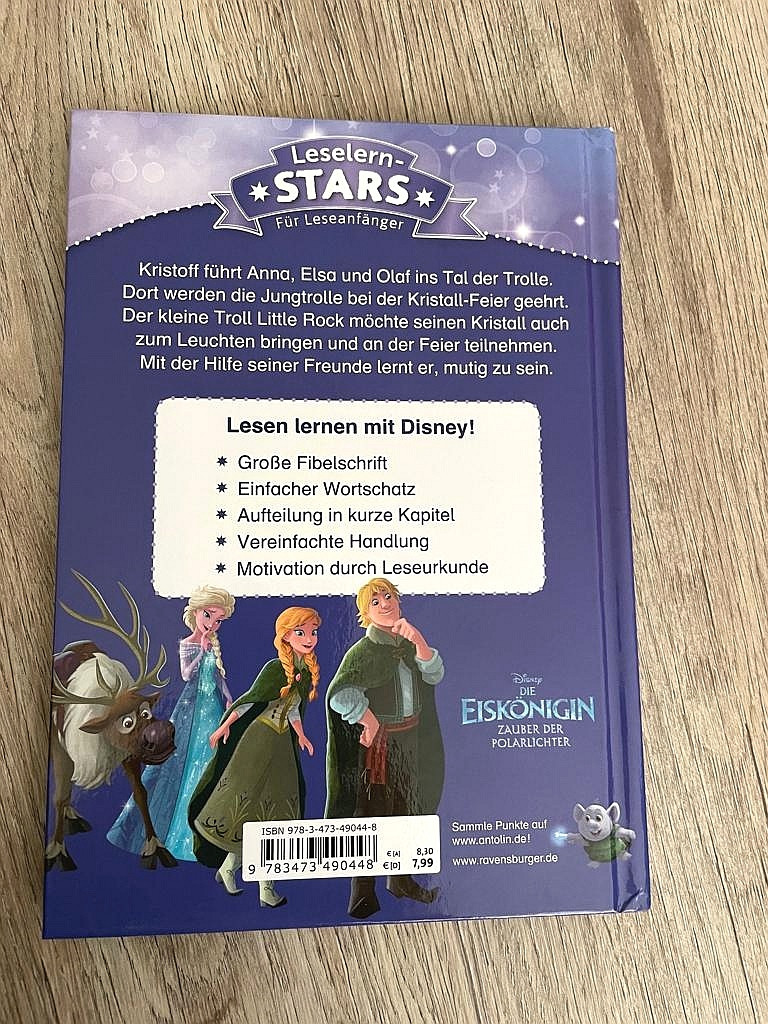 Die Eiskönigin Buch für Leseanfänger