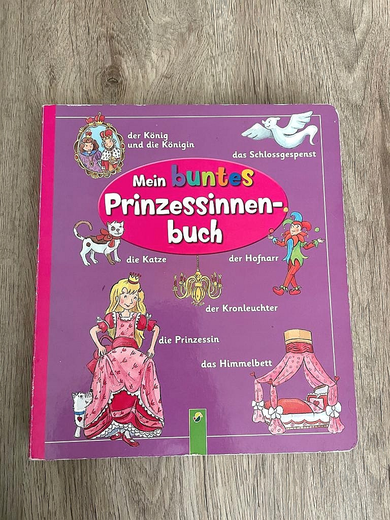 Buch Prinzessinnen Bilderbuch