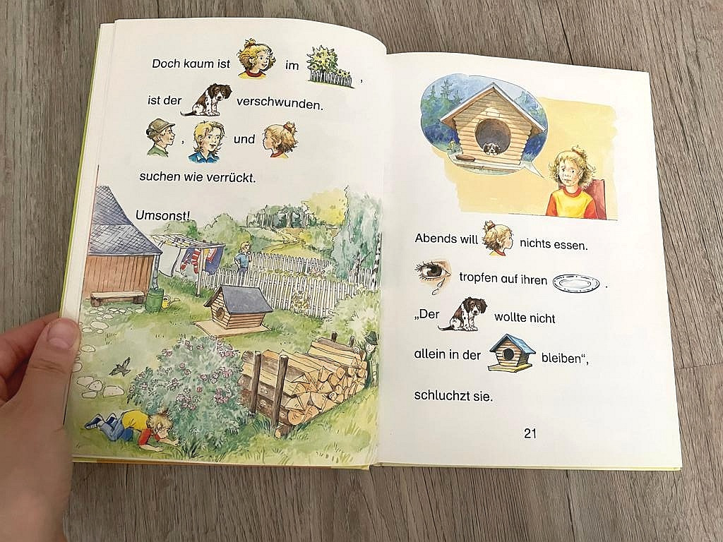 Buch Bilderfibel, lustige Tiergeschichten