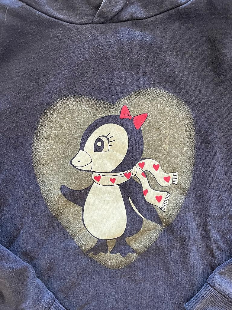 Kapuzen Pulli Pullover Gr. 128