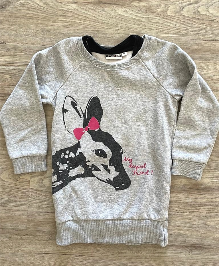 Pulli Pullover Gr. 110