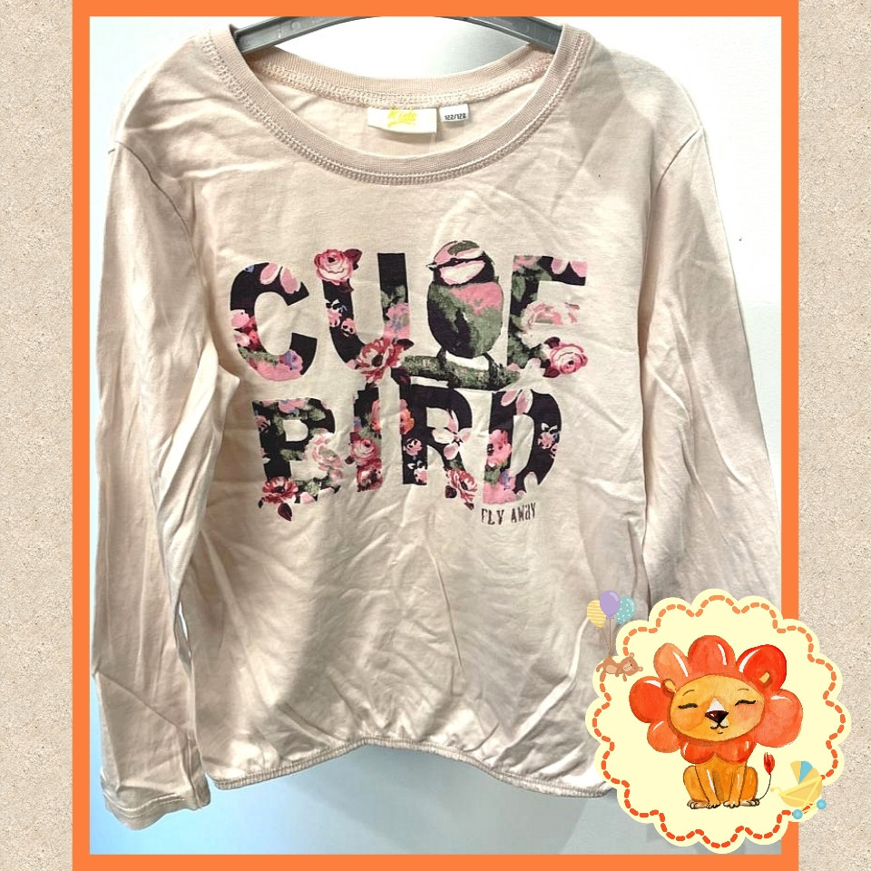 Longsleeve Langarmshirt Gr. 122-128 Flohmarkt