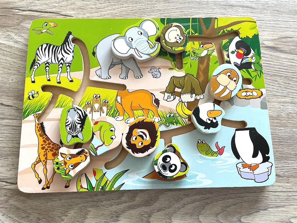 Motorik Spiel, Schiebe Spiel aus Holz