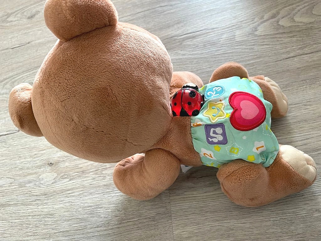 Krabbel Teddybär Motorikspielzeug V-Tech