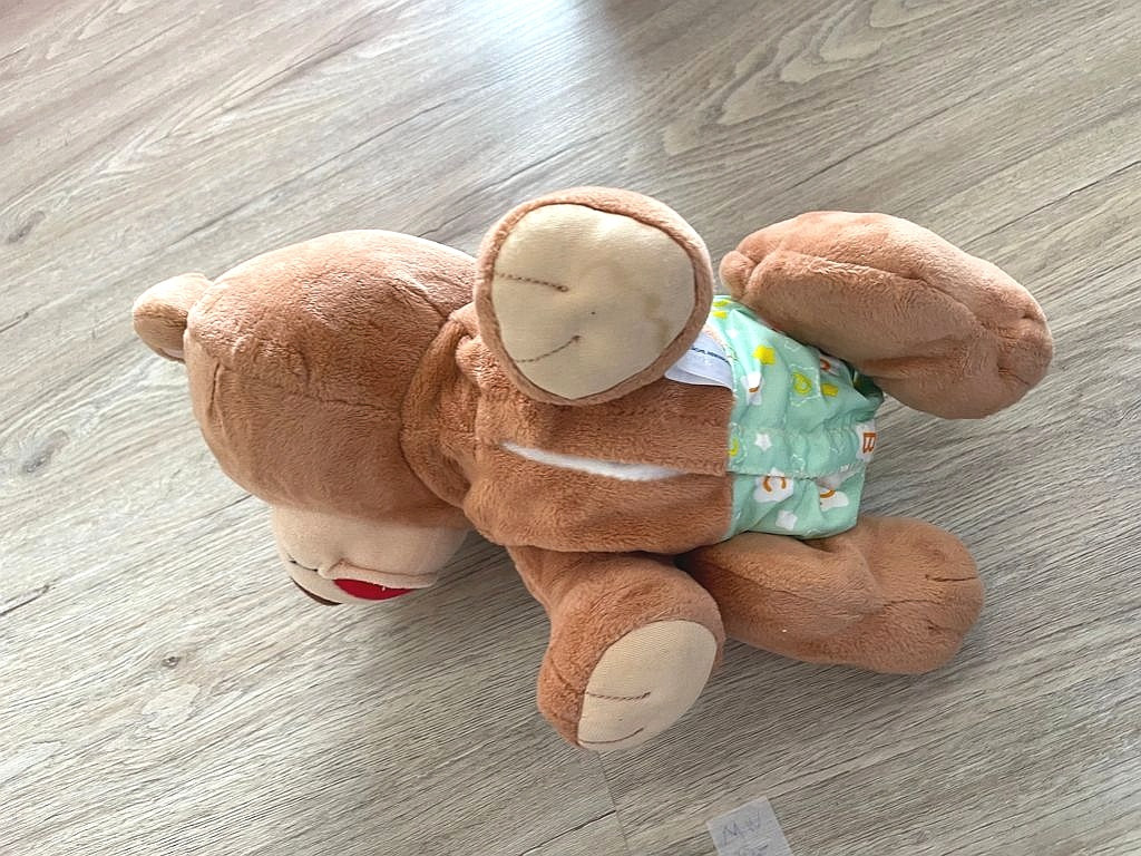 Krabbel Teddybär Motorikspielzeug V-Tech