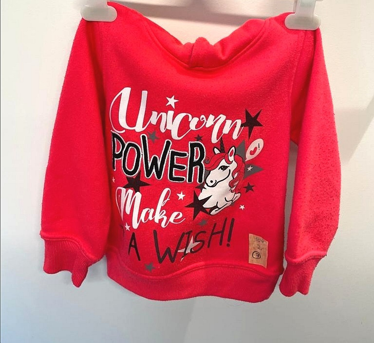 Kapuzen Pulli Pullover Gr. 104 Flohmarkt