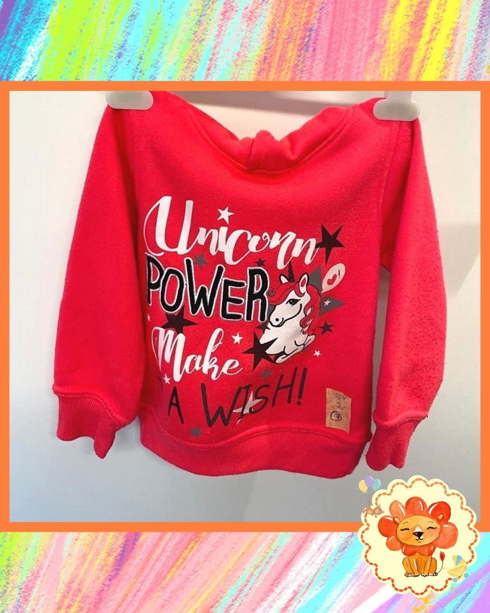 Kapuzen Pulli Pullover Gr. 104 Flohmarkt