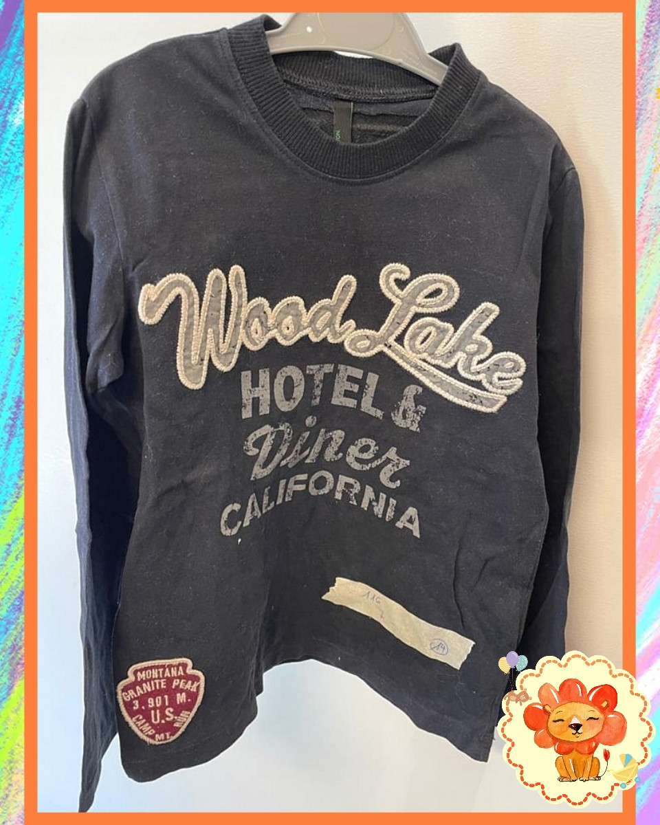 Langarmshirt Gr. 116 Junge Flohmarkt