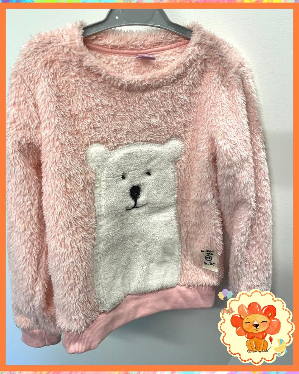 Pulli Pullover Gr. 110-116 Mädchen Flohmarkt