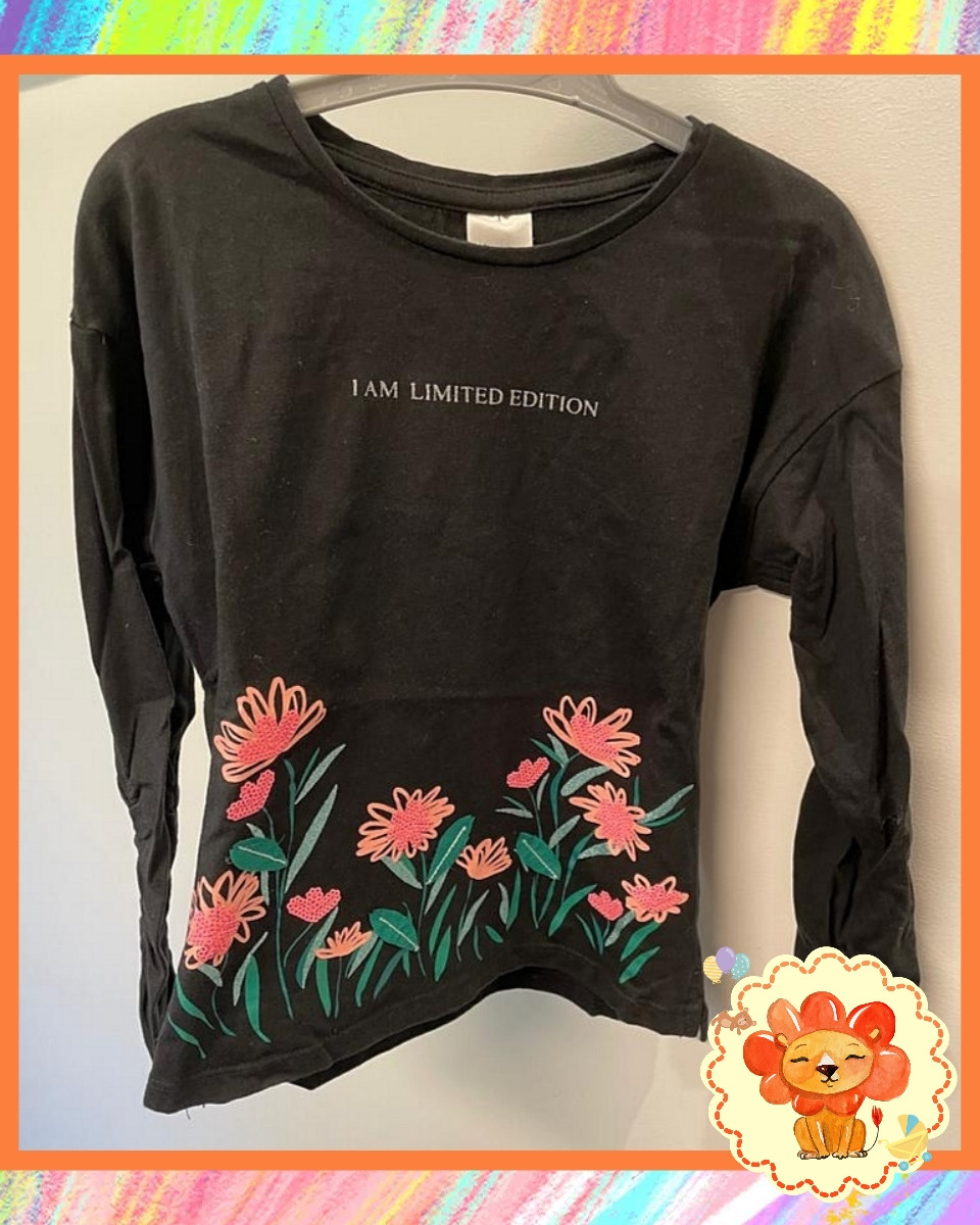 Longsleeve Langarmshirt Gr. 116 Mädchen Flohmarkt
