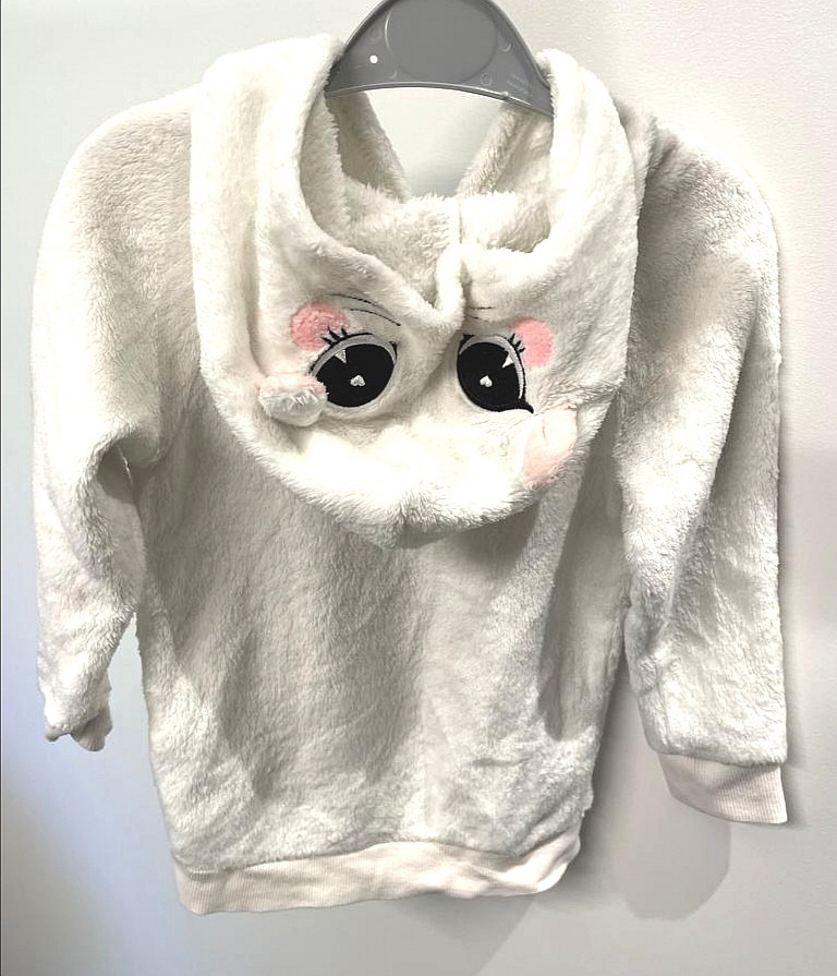 Kapuzen Pulli, Pullover Gr. 92 Mädchen Flohmarkt