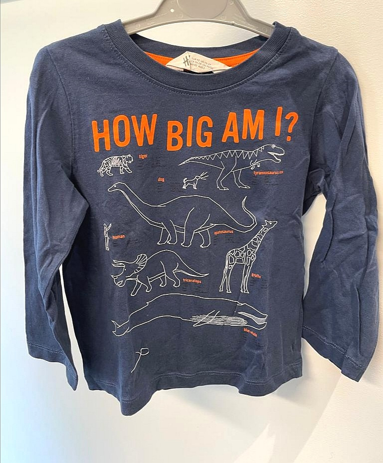 Longsleeve Langarmshirt Gr. 92 Flohmarkt