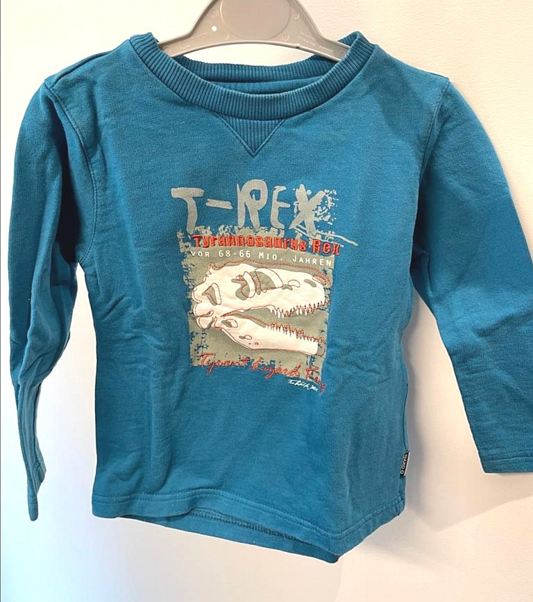 Pulli Langarmshirt Gr. 92-98 Flohmarkt