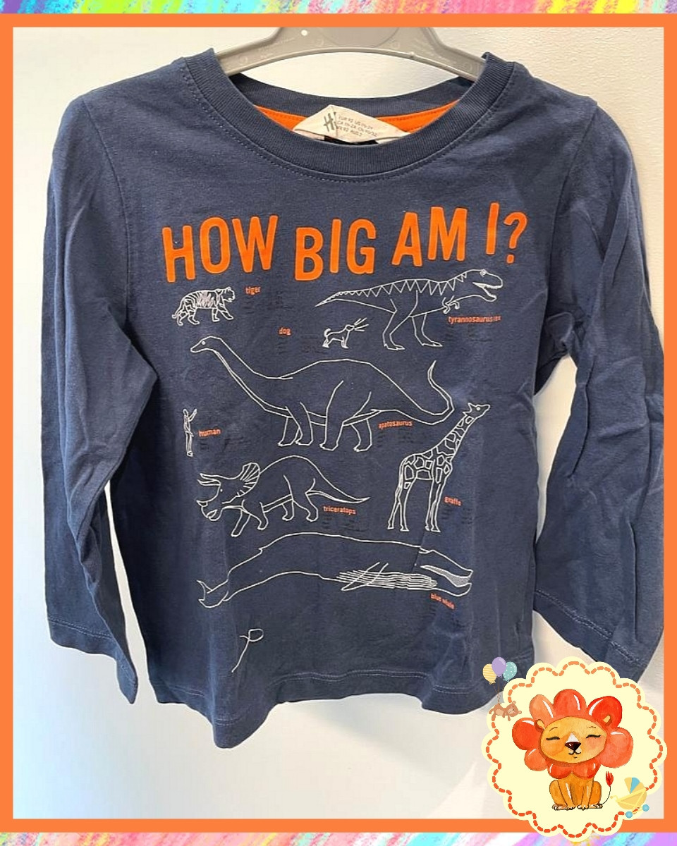 Longsleeve Langarmshirt Gr. 92 Flohmarkt