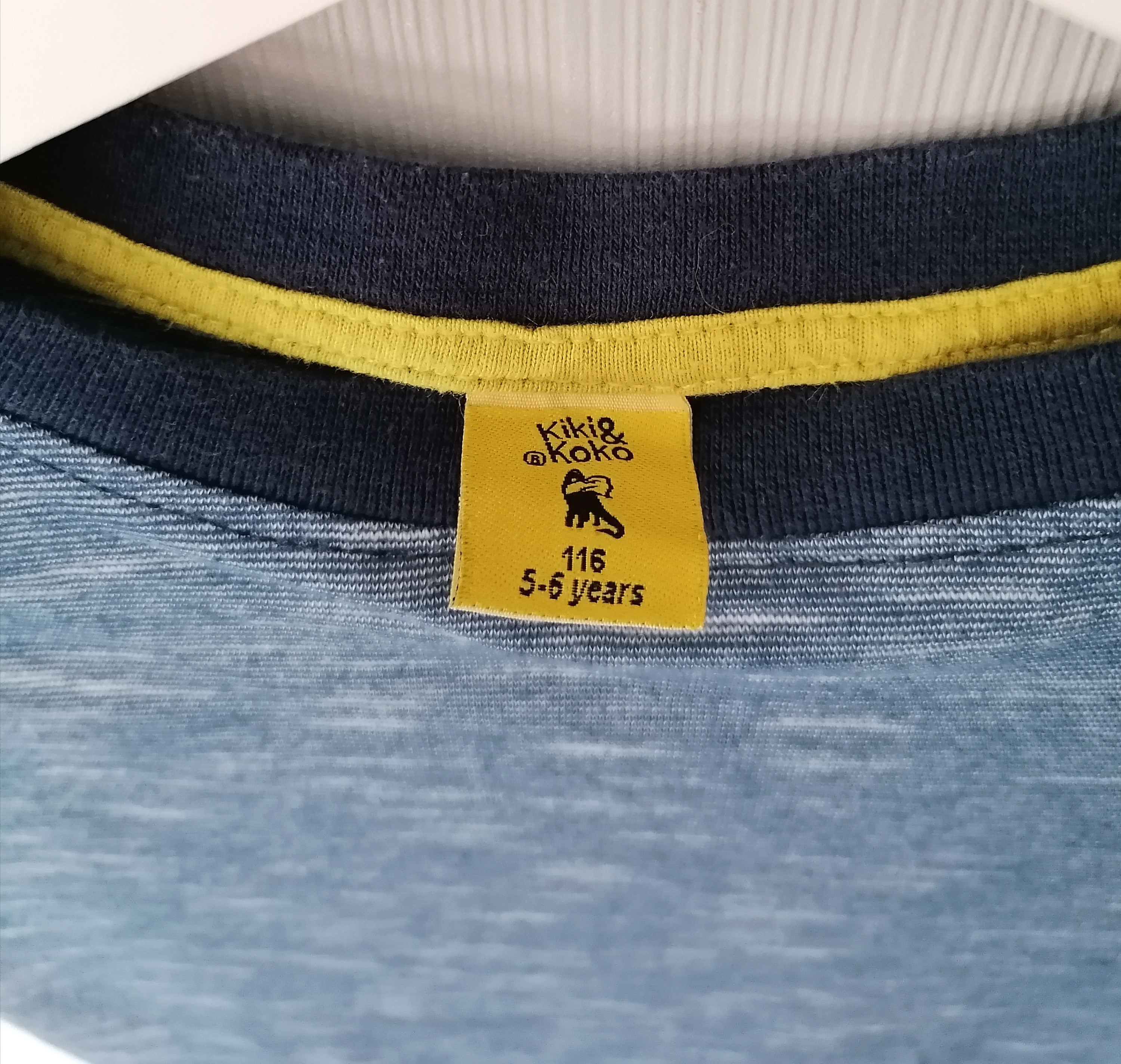 Langarmshirt Gr. 116 Junge Flohmarkt