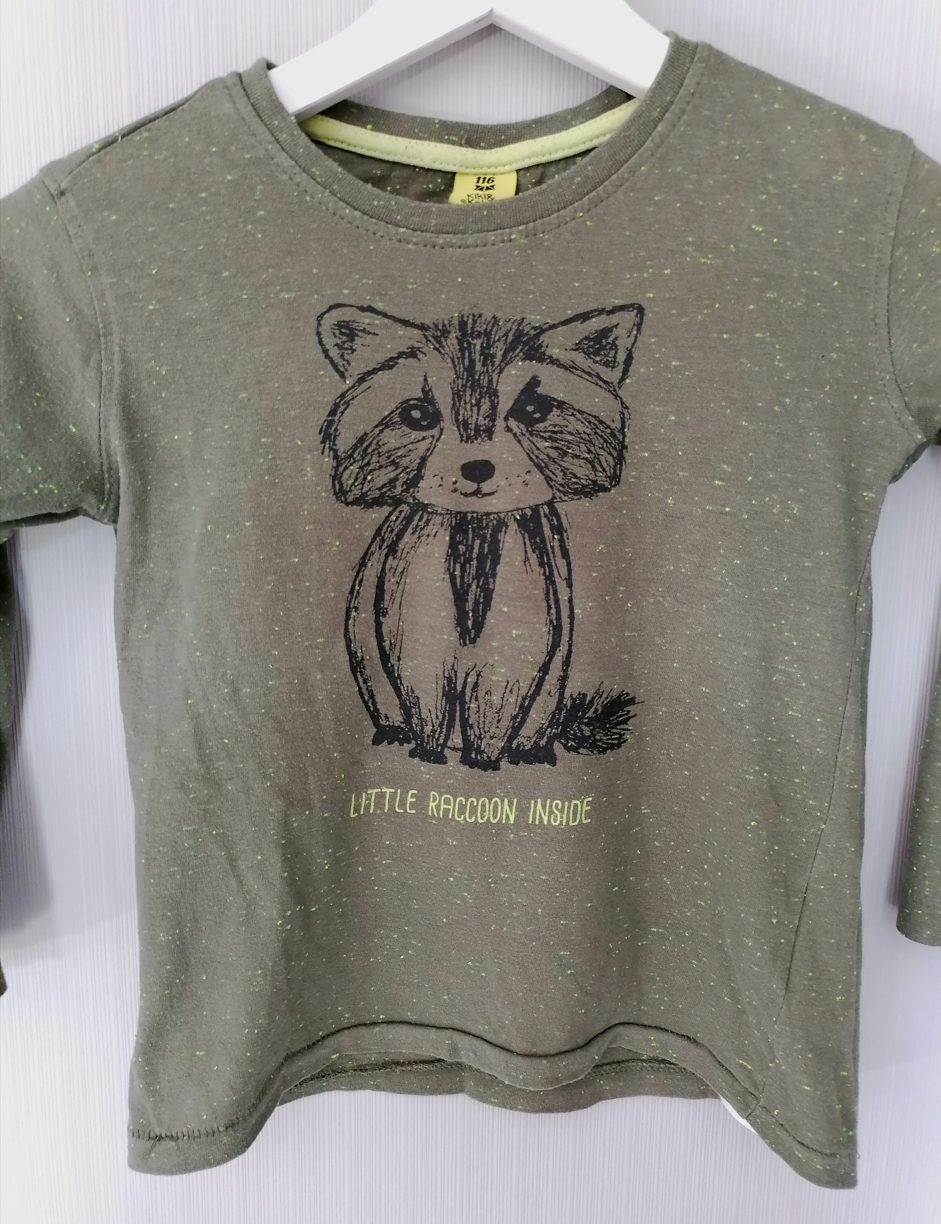 Langarmshirt Gr. 116 Junge Flohmarkt