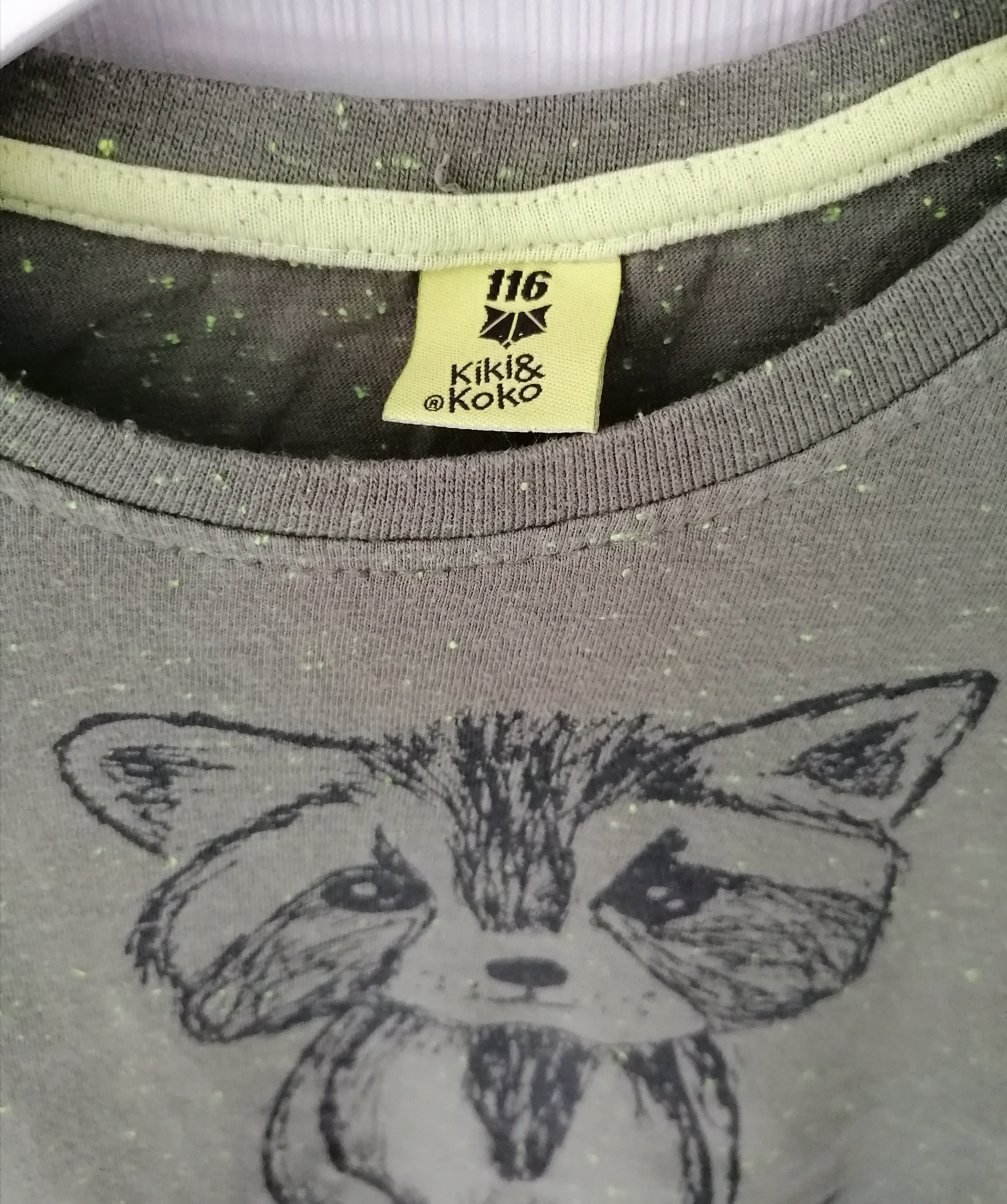 Langarmshirt Gr. 116 Junge Flohmarkt