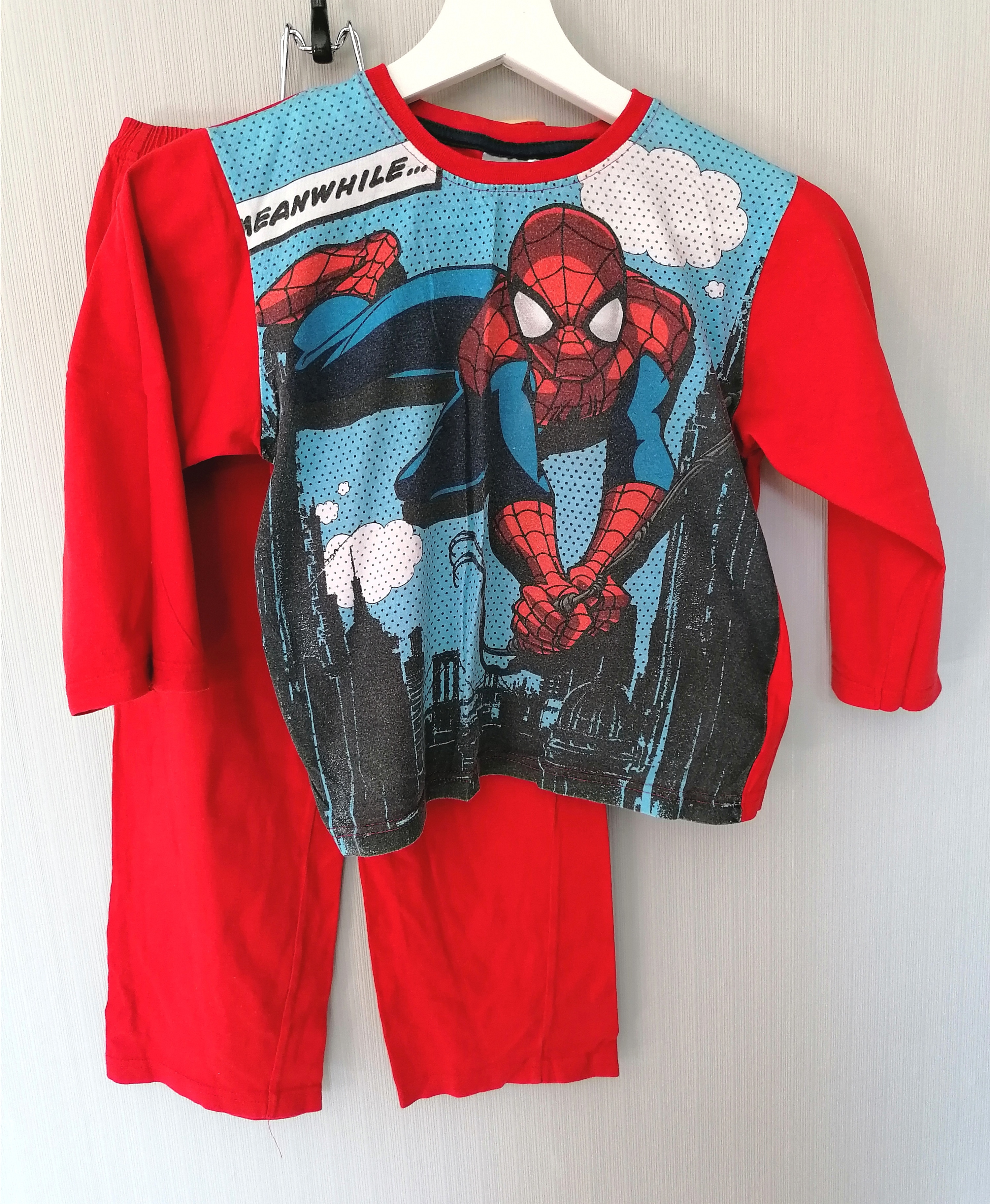 Pyjama Schlafanzug für Jungs Gr. 110-116  Flohmarkt