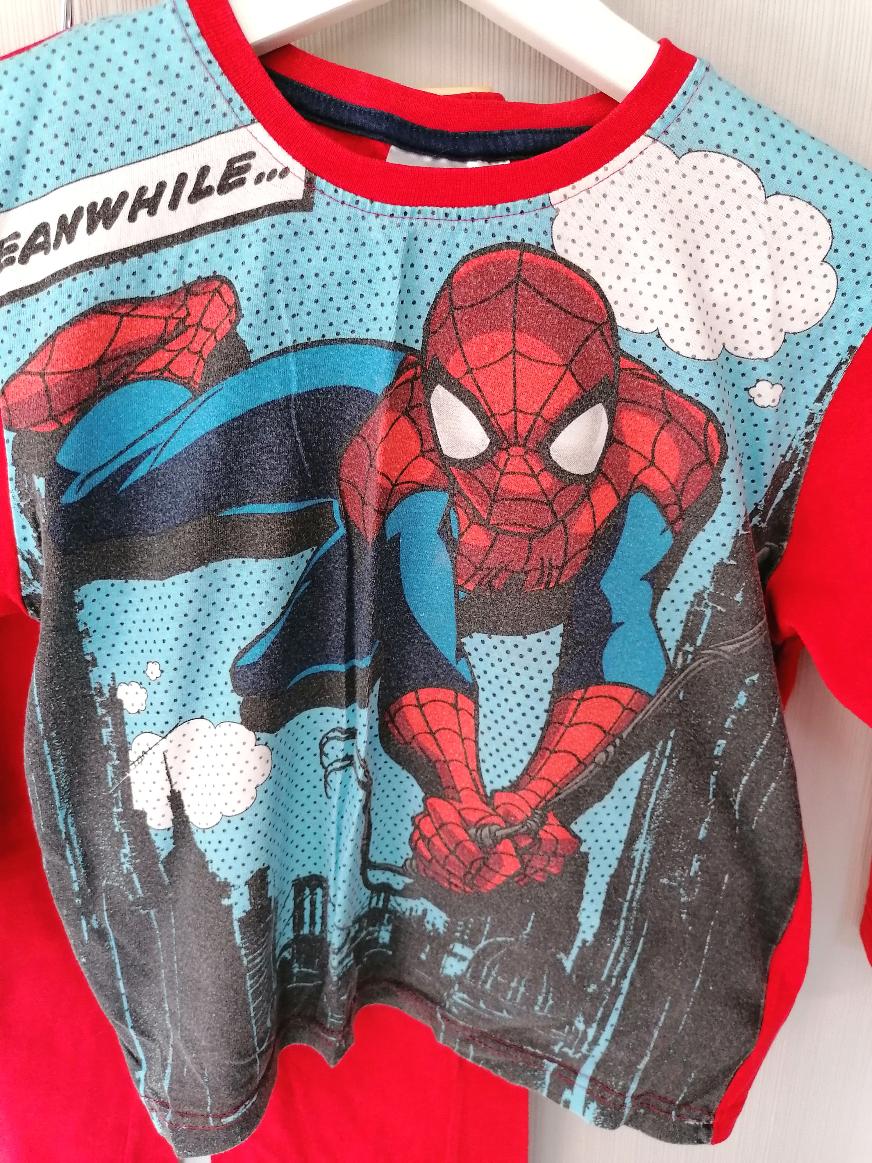 Pyjama Schlafanzug für Jungs Gr. 110-116  Flohmarkt