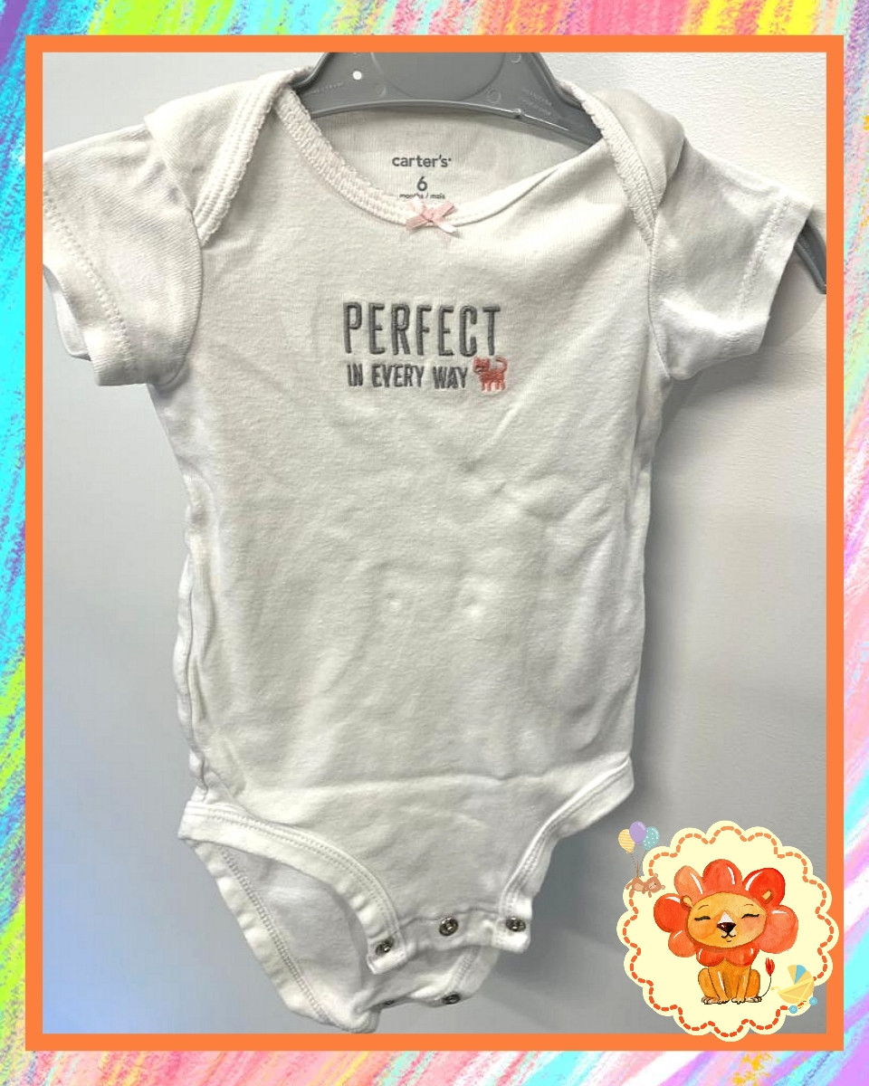 Body Kurzarmbody Gr. 68-74 Mädchen Flohmarkt