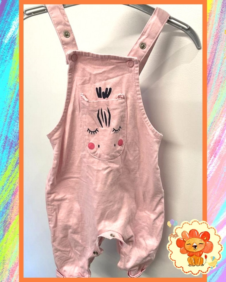 Strampler Latzhose Gr. 68 Mädchen Flohmarkt