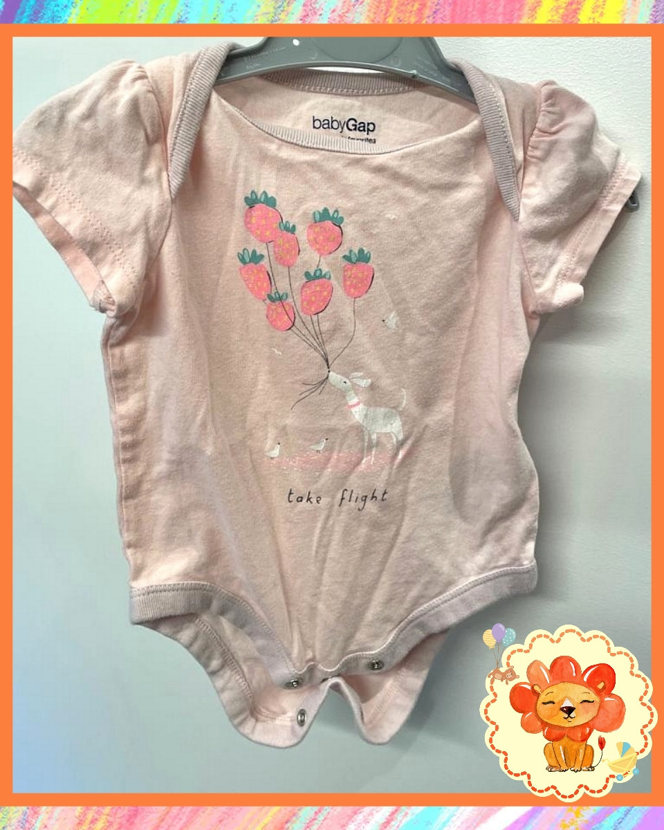 Body Kurzarmbody Gr. 62-68 Mädchen Flohmarkt