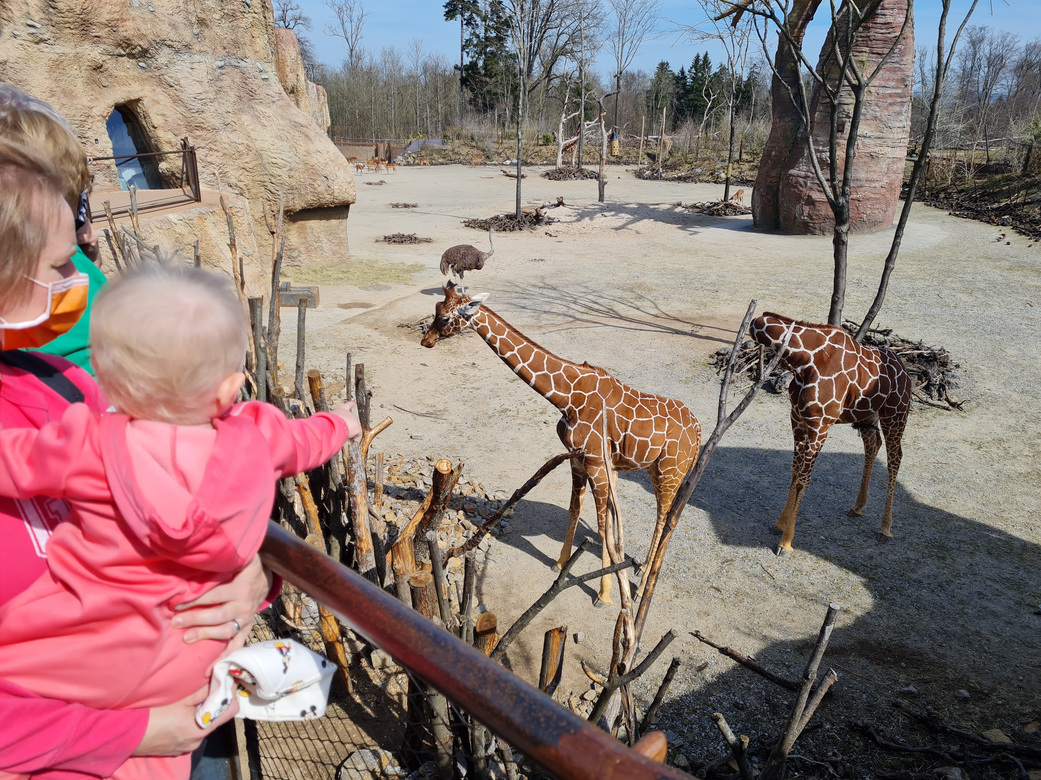 Daniela-Itting-860e72503c2c38bbf3ae59ca4b10cf4a