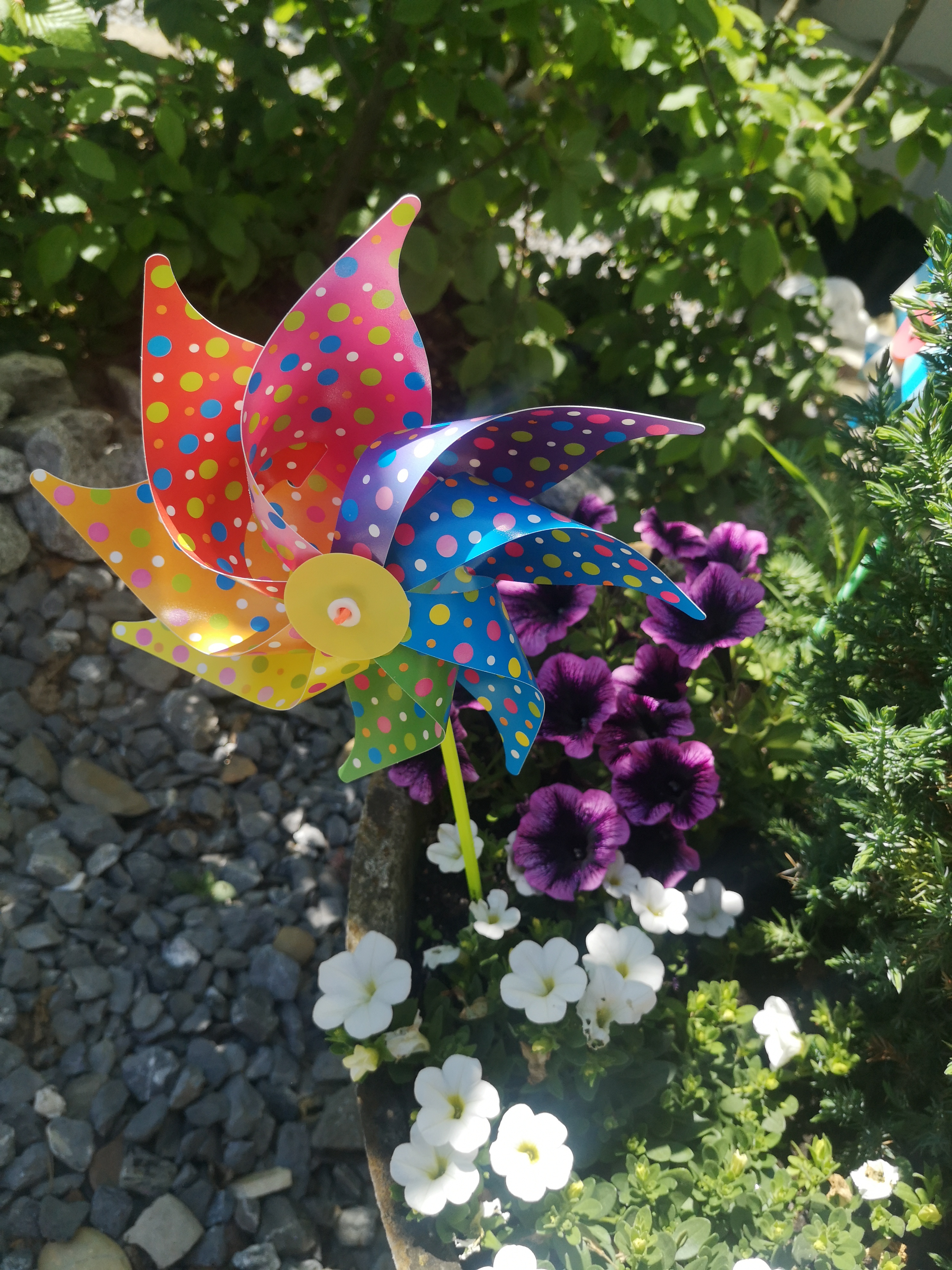 Manuela-Odermatt-4012a7dddc8cf68dd642048c2529f8b0