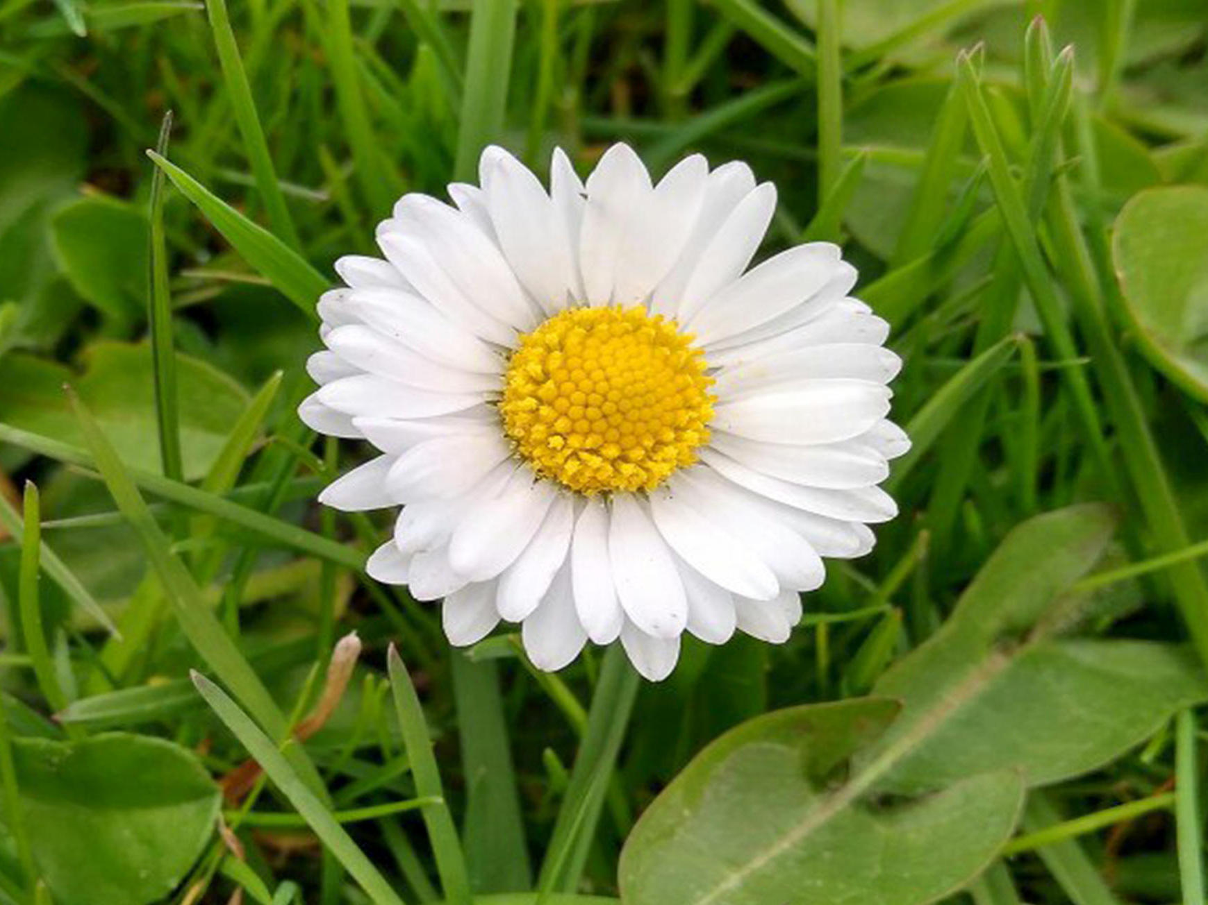 Judith-Graser-dd495a8d7e37f32812bfdb3daf16d58a